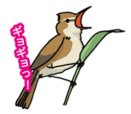 Wild Bird Life vol.1 sticker #13405923