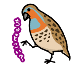 Wild Bird Life vol.1 sticker #13405930