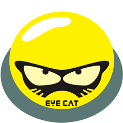 EYE cat2