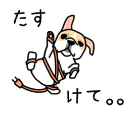 Mirco of the French bulldog. hum hum!! sticker #13406254