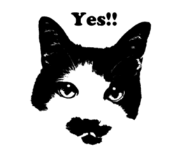 Chobihige Cat "CHOBI" (Real version) sticker #13406384