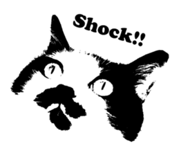 Chobihige Cat "CHOBI" (Real version) sticker #13406388