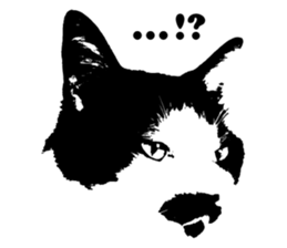 Chobihige Cat "CHOBI" (Real version) sticker #13406391