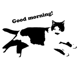 Chobihige Cat "CHOBI" (Real version) sticker #13406398