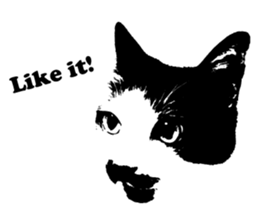 Chobihige Cat "CHOBI" (Real version) sticker #13406403