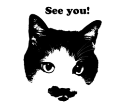 Chobihige Cat "CHOBI" (Real version) sticker #13406405