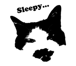 Chobihige Cat "CHOBI" (Real version) sticker #13406406