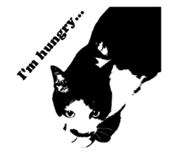 Chobihige Cat "CHOBI" (Real version) sticker #13406409