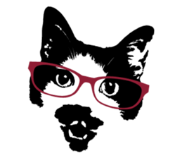 Chobihige Cat "CHOBI" (Real version) sticker #13406419