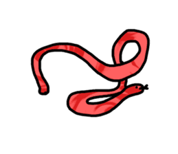 red flower snake sticker #13407905