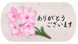 The Greeting for Adults sticker #13410422