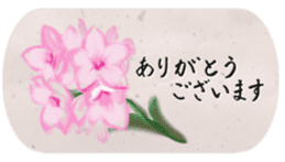 The Greeting for Adults sticker #13410422