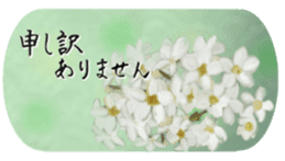 The Greeting for Adults sticker #13410425