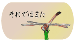 The Greeting for Adults sticker #13410447