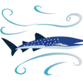 HAPPY SMILE TOCCO sticker #13410869