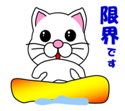 A white cat which snowboards sticker #13411511