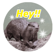 Otter violent sticker #13411832