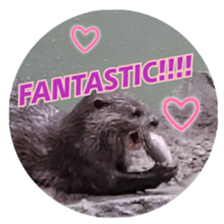 Otter violent sticker #13411836