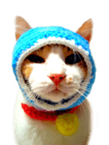 funny funny bonbonfamiry sticker #13412099