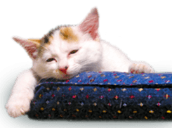 funny funny bonbonfamiry sticker #13412100