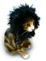 funny funny bonbonfamiry sticker #13412107