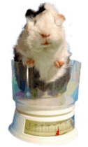 funny funny bonbonfamiry sticker #13412108