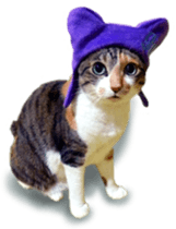 funny funny bonbonfamiry sticker #13412110