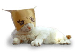funny funny bonbonfamiry sticker #13412113