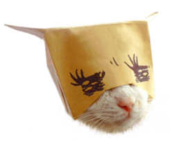 funny funny bonbonfamiry sticker #13412114