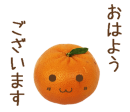 Orange. sticker #13412118