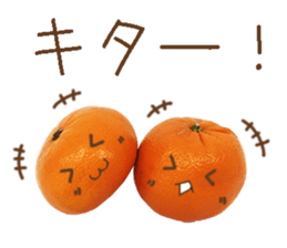 Orange. sticker #13412120