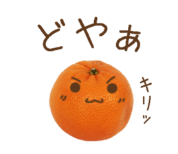 Orange. sticker #13412121