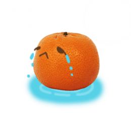 Orange. sticker #13412128