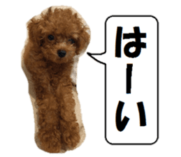 Toy Poodle Lion sticker #13412734