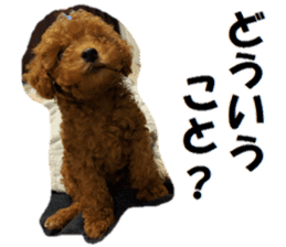 Toy Poodle Lion sticker #13412751