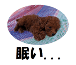 Toy Poodle Lion sticker #13412756