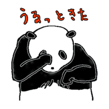 Panda to blend into human life sticker #13413230