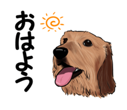 totomaru2 sticker #13413750