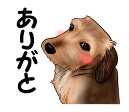 totomaru2 sticker #13413755