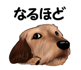 totomaru2 sticker #13413756