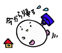 Baby owl sticker #13415273