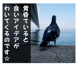 my photo.001 sticker #13415823