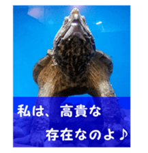 my photo.001 sticker #13415825