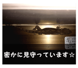 my photo.001 sticker #13415828