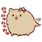 our cats sticker #13416020