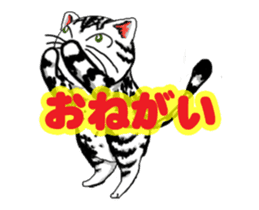 Moving American Shorthair sticker #13417090