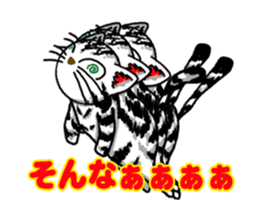 Moving American Shorthair sticker #13417091