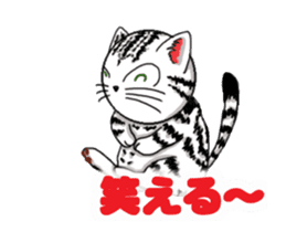 Moving American Shorthair sticker #13417093
