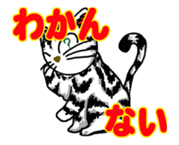 Moving American Shorthair sticker #13417094