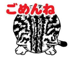 Moving American Shorthair sticker #13417095